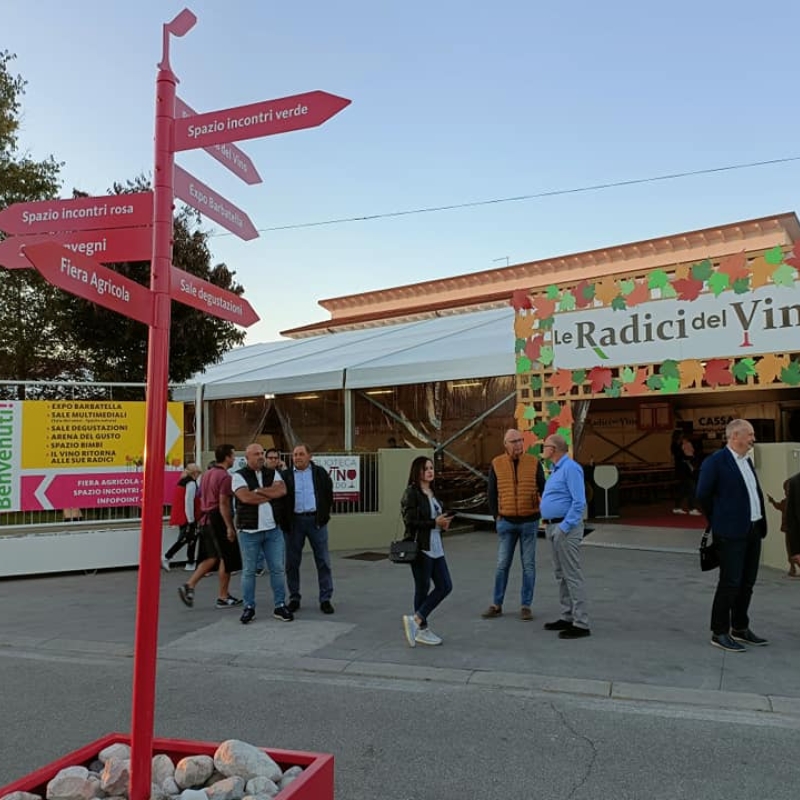 Electrozeta à la 8e édition de la Foire 