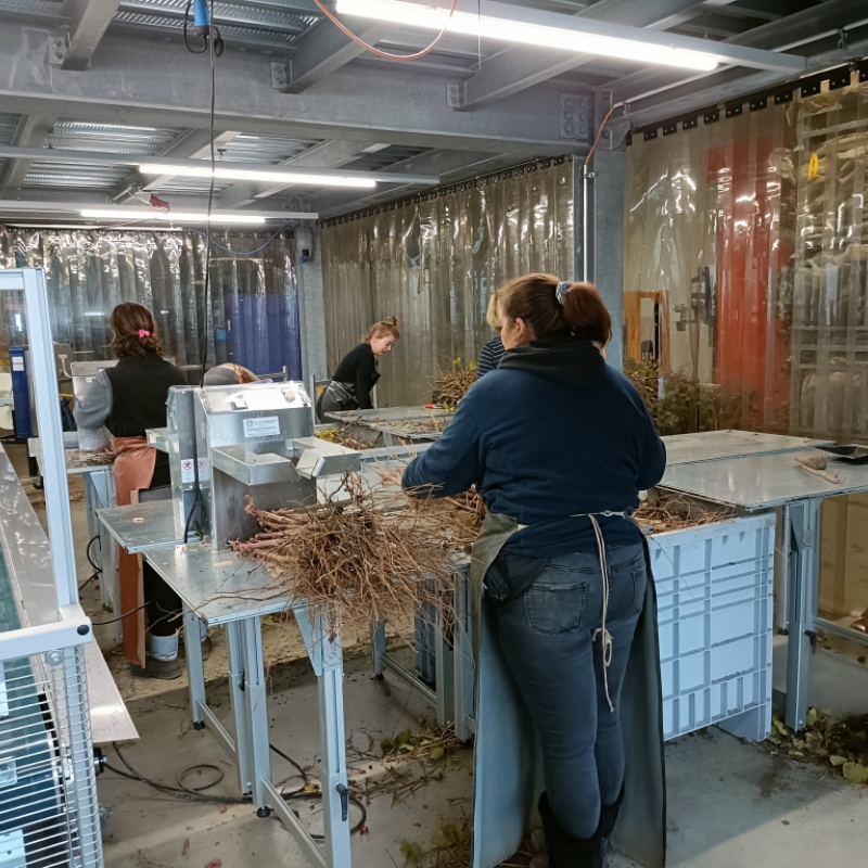 Innovazione Italiana in Svizzera: la partnership strategica con Multiplants Sarl - Gallery
