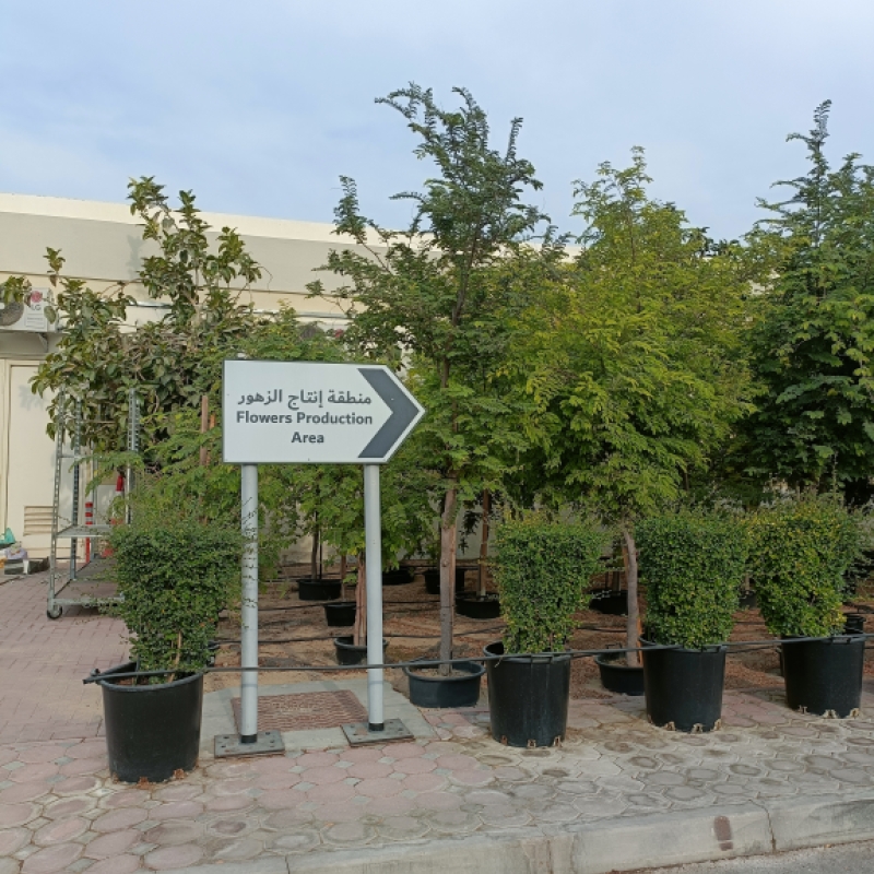 Le Tecnologie Innovative di Electrozeta arrivano negli Emirati, avvicinandosi a un nuovo mercato e creando nuove opportunità - Gallery