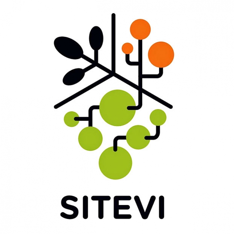 SITEVI 2017